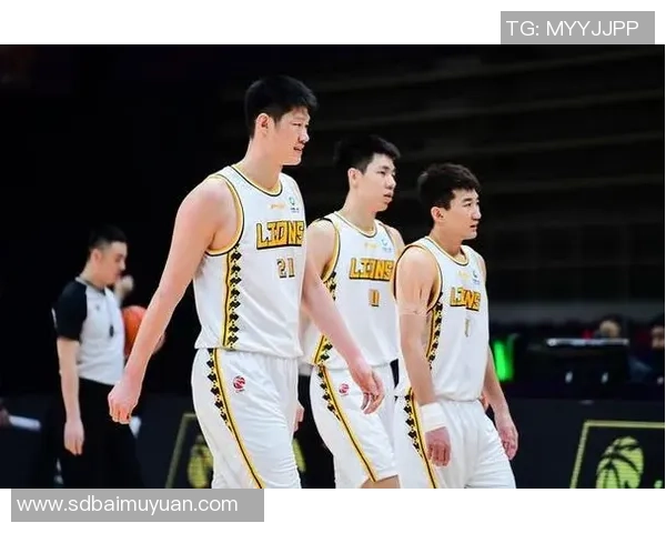 聚焦成都篮球队默契配合探讨提升球队整体实力的关键因素